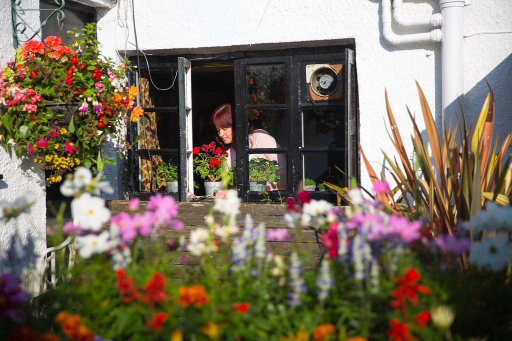 The Cott Inn Totnes Exterior photo
